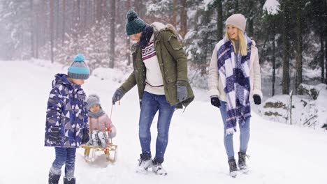 family pulling sleds through snow in the forest