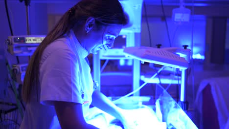 nurse touching fragile newborn in neonatal incubator