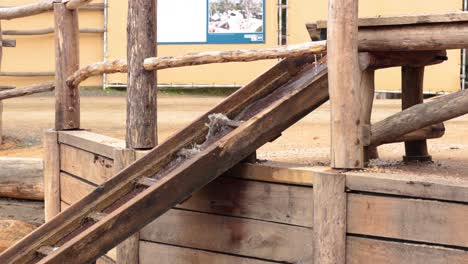 wooden ramp and platform at historical site