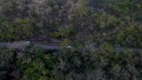 Car-driving-through-the-forest-near-Merida-Mexico