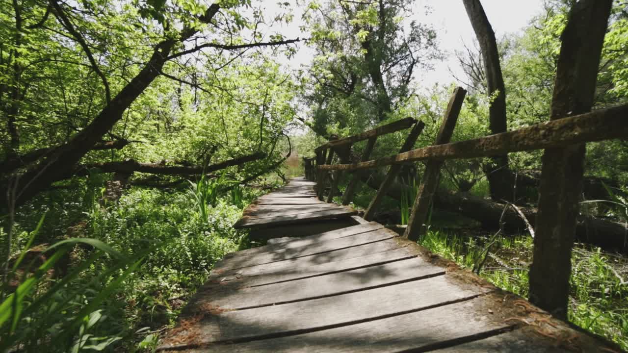 Backward and wider panoramic view from an abandoned nature trail place and its environment