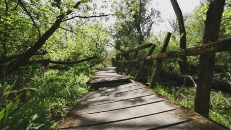 Backward-and-wider-panoramic-view-from-an-abandoned-nature-trail-place-and-its-environment