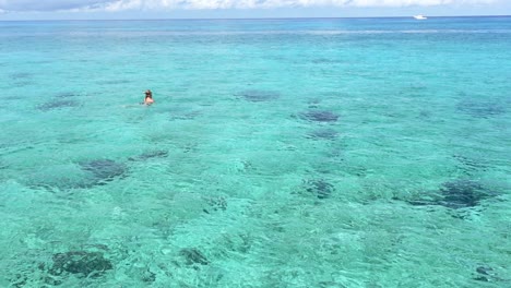 a women snorkeling in the clear tropical waters of cozumel island, mexico on a sunny day