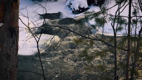 Winter-wonderland-scene-through-tree-branches-with-snow-and-ice-in-forest-along-stream-and-gentle-cascades