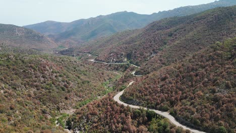 beautiful windy road through the mountains of sardinia, italy. aerial drone moving forward
