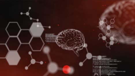 animación del procesamiento de datos sobre cerebros digitales sobre fondo rojo