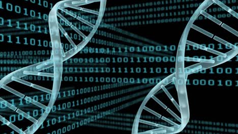 Spinnende-DNA-Vor-Binärcodes-Und-Schwarzem-Hintergrund