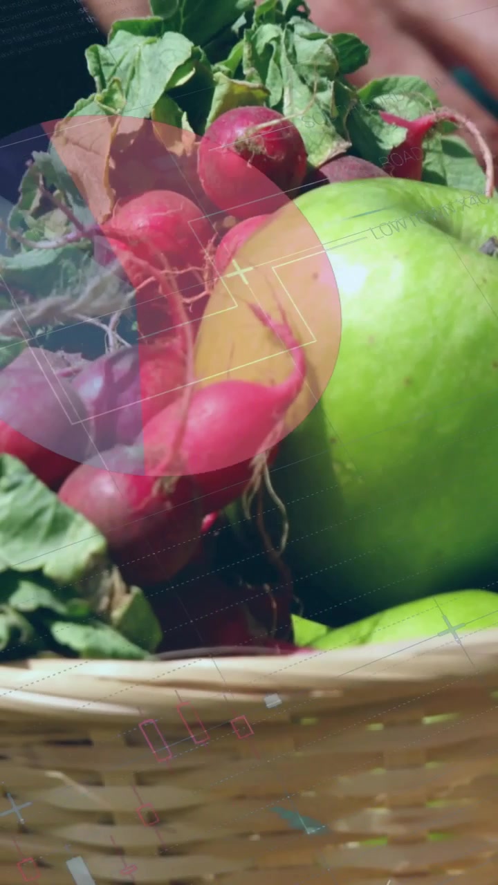 Vertical video: Camera panning market, hand touching apples, HUD overlay marking radishes for promo