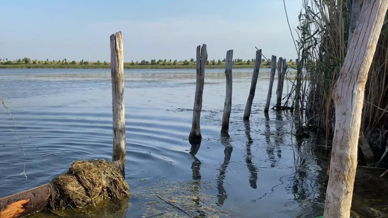 aguas pantanosas de rumania estancamiento algas. muelle de lago salvaje