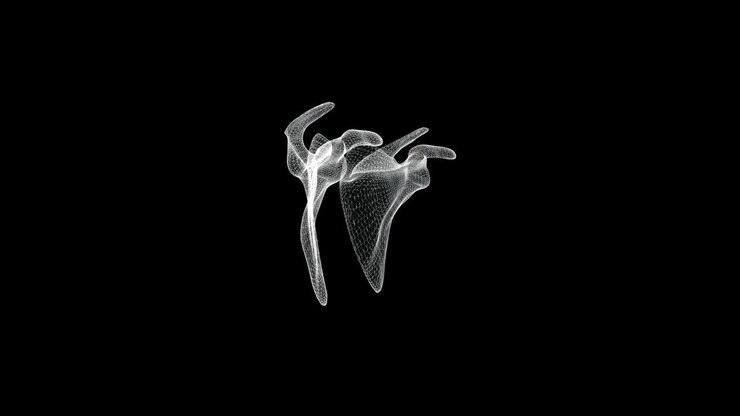 Schermo olografico di scapole o ossa delle spalle dello scheletro umano - loop