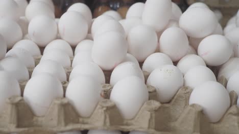 eggs in carton