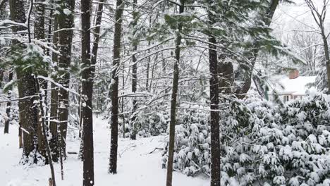 dense snow sticking to woods and trees after an early march storm