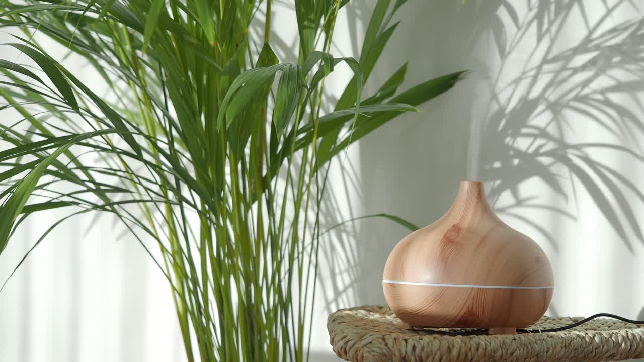 Ambiance relaxante avec humidificateur et plante
