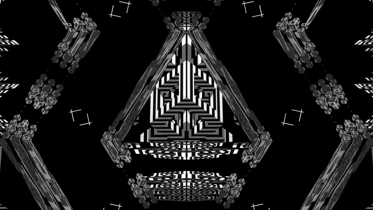 ブラック・アンド・ホワイト ストロボvjショー