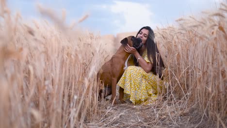 cheerful young woman stroking and hugging her dog while they enjoy the day together in a wheat field