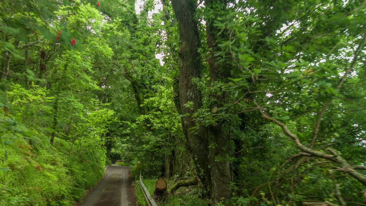 unidad forestal dji 4k 01