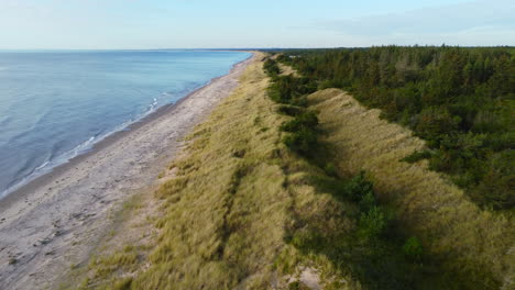 aerial over grassy sand dunes on skagen beach coastline with oceanfront forest at sunset