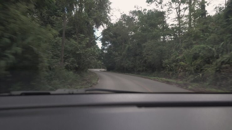 Ripresa POV 4K dall'interno di un'auto mentre si percorre una strada tortuosa tra foreste e giungla tropicale fino alla cima di una montagna