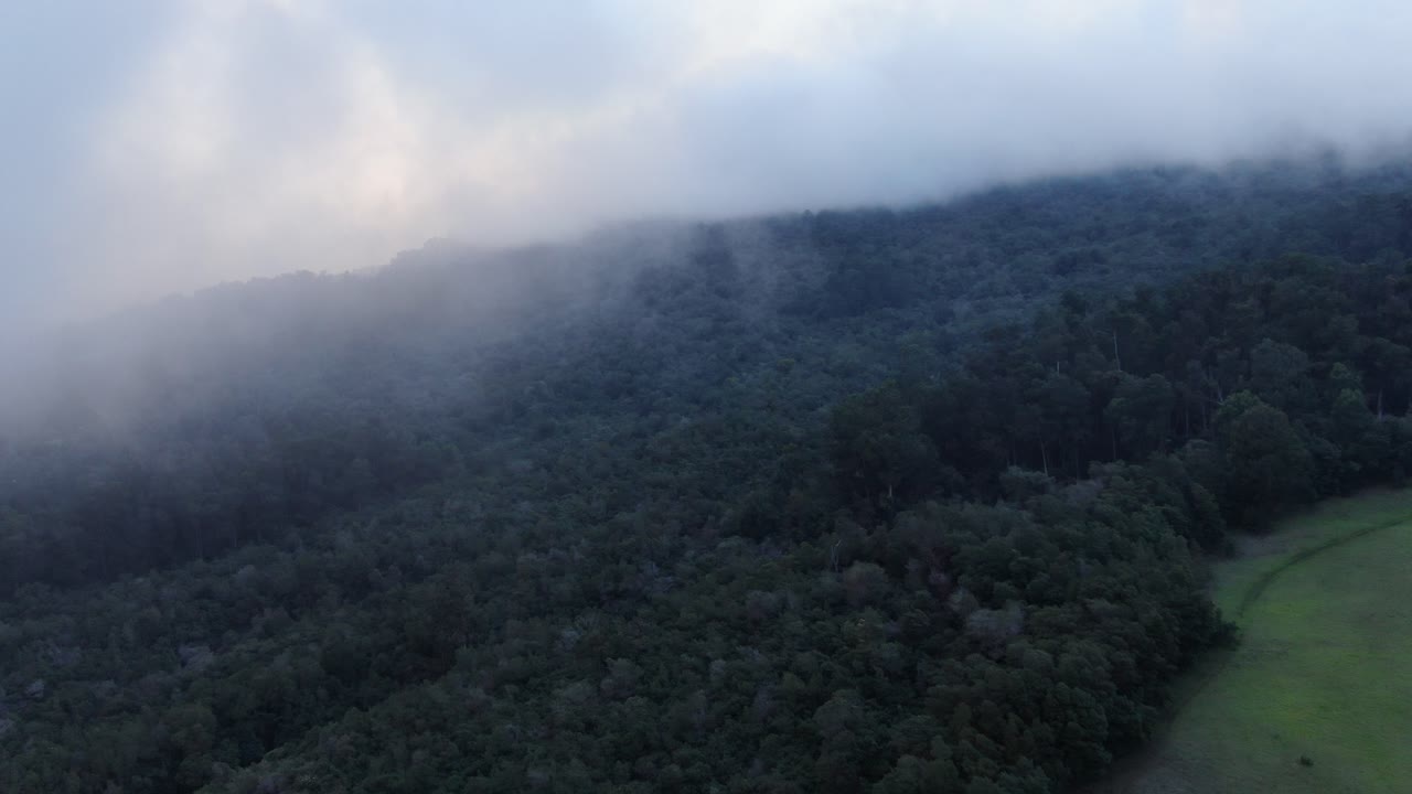 interior de maui, hawai