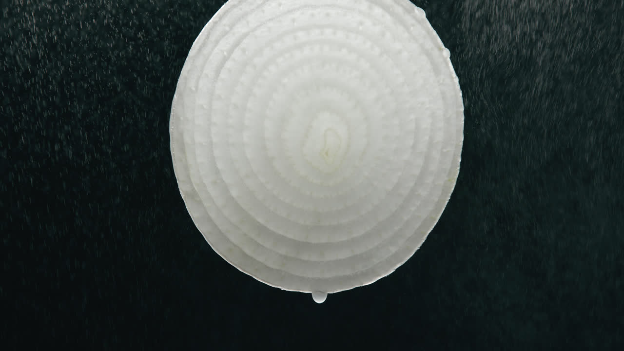 슬로우 모션 백라이트 블랙 배경에서 액체 드립이 있는 물방울 미스트에 의해 양파 슬라이스가 튀었습니다.