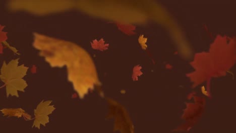 Digital-animation-of-multiple-autumn-leaves-against-red-background
