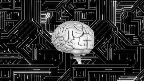 Cerebro-Y-Circuito-Digital
