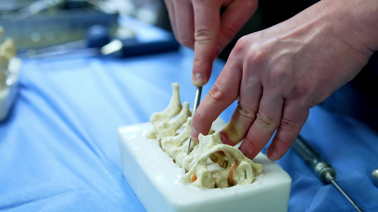 Sharp metal medical tools are applied at the model of spine. Close up. Demonstration of neurosurgery progress.