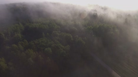 Schotterstraße-Und-Wald,-Umgeben-Von-Morgennebel,-Beleuchtetes-Sonnenaufgangslicht