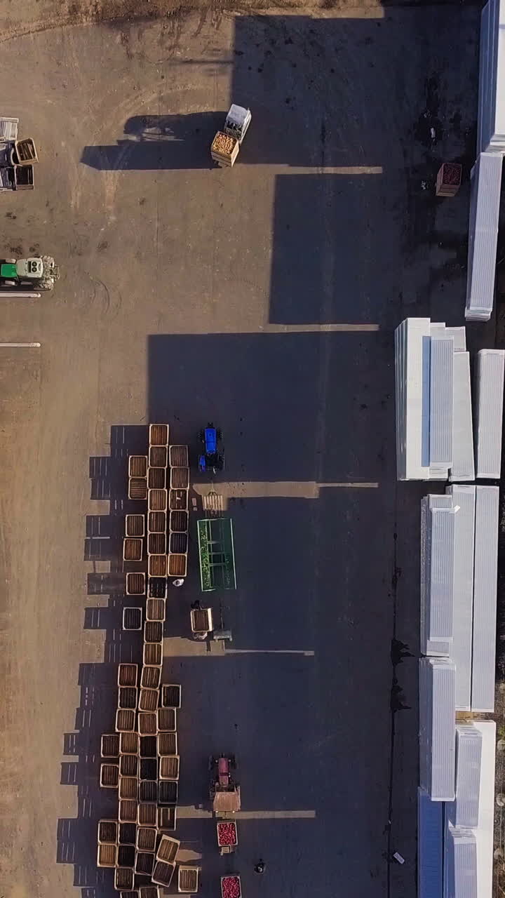 trucks are transporting apples on trailers in the territory of warehouse with wooden boxes near an apple orchard in the field. Aerial view Vertical video