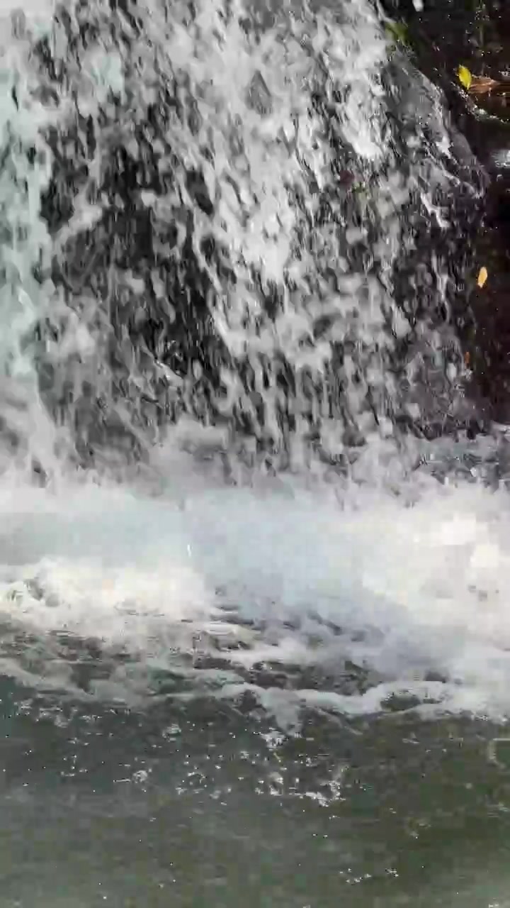 Piccola cascata che si getta in un ruscello roccioso