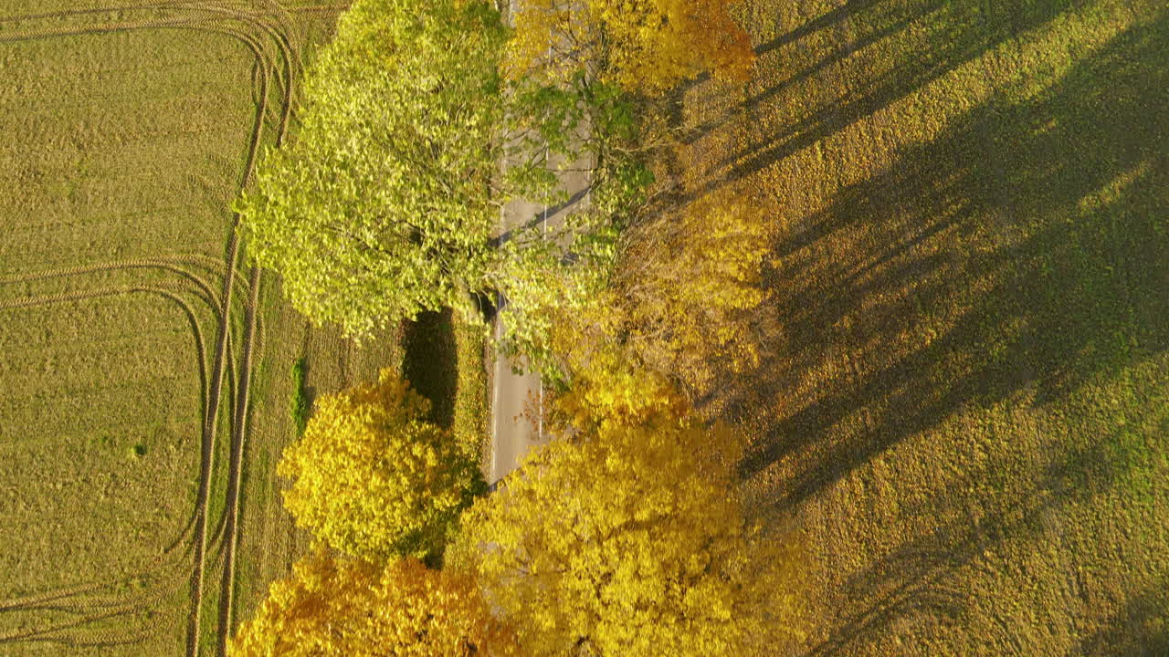 폴란드 나프로멕의 농지를 통과하는 빈 시골길 - 최고 전망