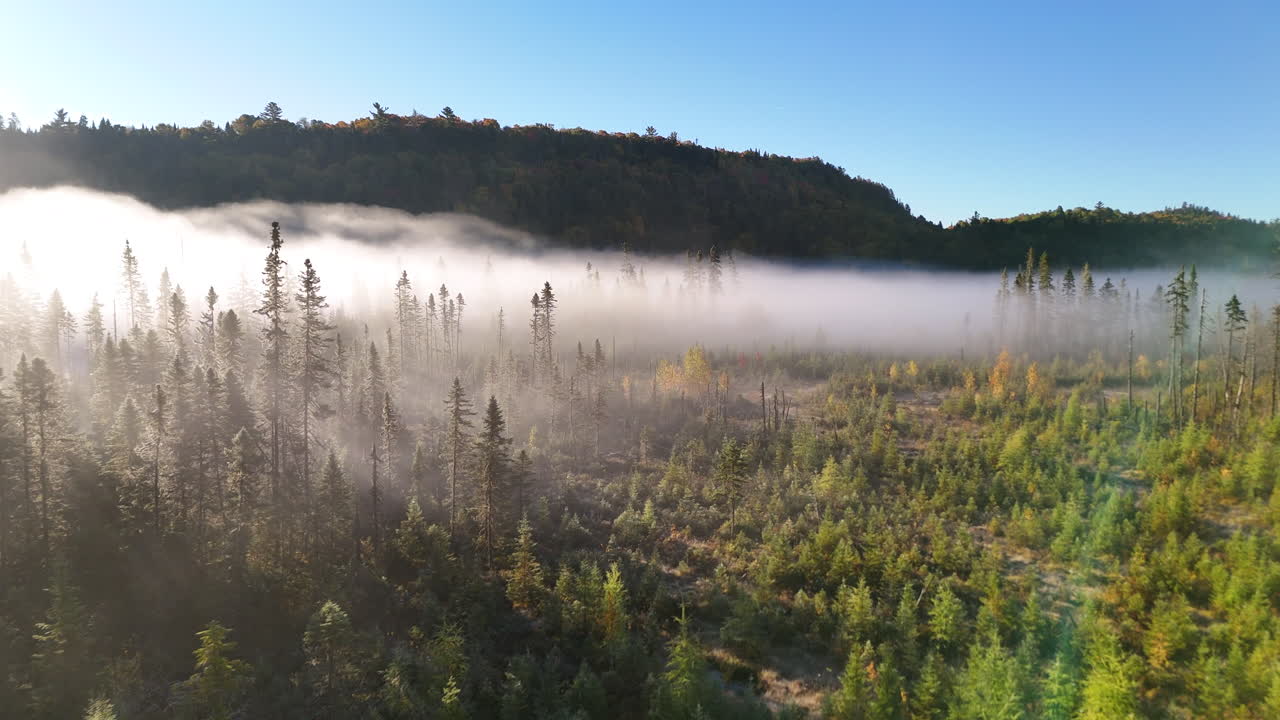 Aerial view of autumn forest and mountains in vivid colors with morning fog in Mauricie, Quebec, Canada. Soft sunlight illuminates the colorful foliage over peaceful wilderness