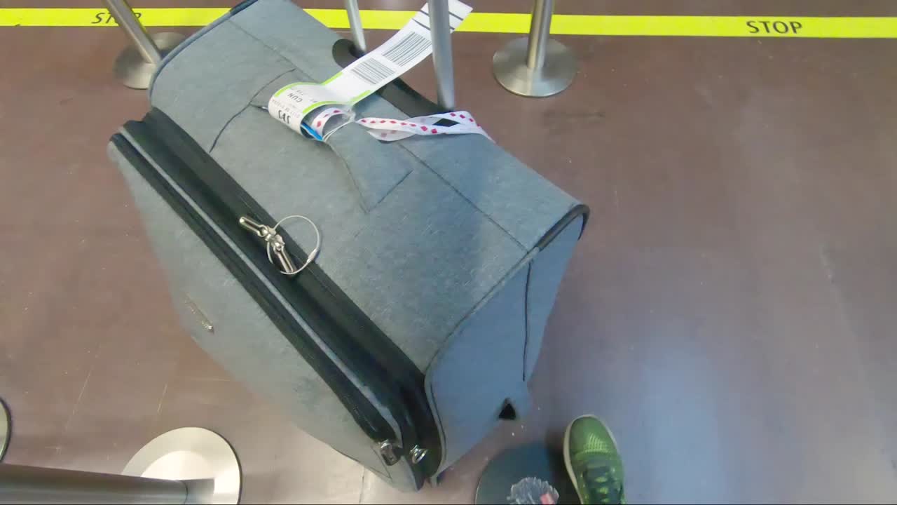 En passager skubber bagagen på hjul ved lufthavnens bagageindlevering