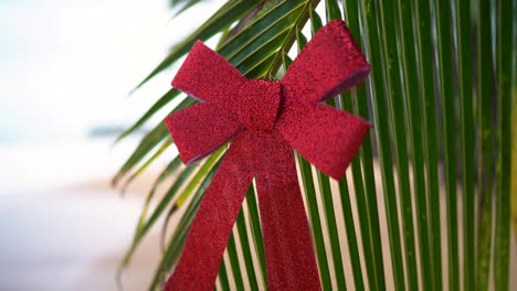 Rote-Schleife,-Die-An-Einer-Grünen-Palme-Am-Tropischen-Sandstrand-Hängt