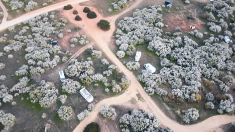 La-Vista-Aérea-Muestra-árboles-En-Flor-Intercalados-Con-Camionetas-Situadas-Cerca-De-La-Orilla-Del-Agua-En-Portugal.