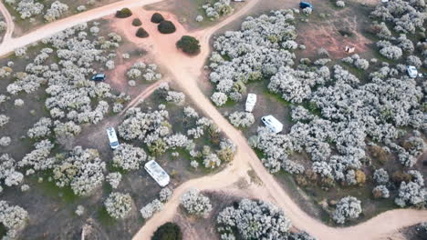 vista aérea muestra árboles en flor intercalados con furgonetas situadas cerca de la orilla del agua en portugal