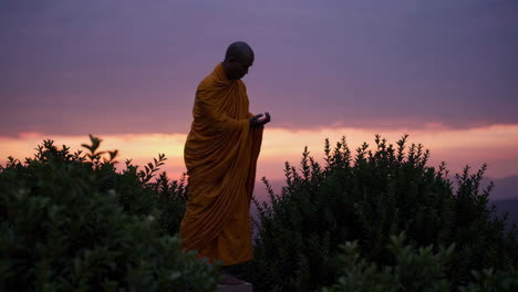 buddhist monk in prayer at sunset