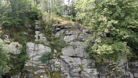 aerial view of rocky cliffside of mountain surrounded by green trees