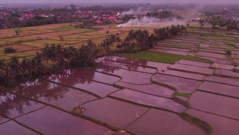 Vista-De-Drones-De-La-Terraza-De-Arroz-Bali-Durante-La-Puesta-De-Sol-Con-Reflejos,-Antena