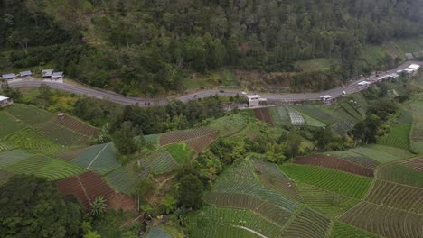 Aerial-view,-rural-scenery-on-the-slopes-of-Mount-Lawu,-fields-and-winding-roads-located-in-Tawangmangu,-Indonesia