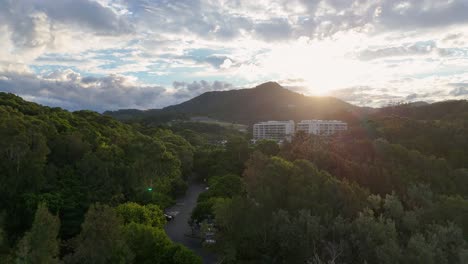 Aerial view of lush greenery and distant buildings at sunset, capturing serene natural beauty and vibrant sky