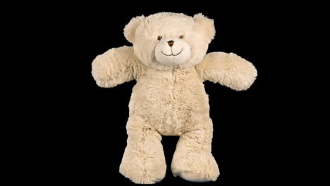 beige teddy bear