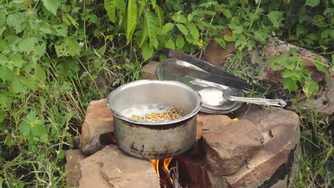 cooking dal curry or pulses an indian dish in outdoor picnic in india