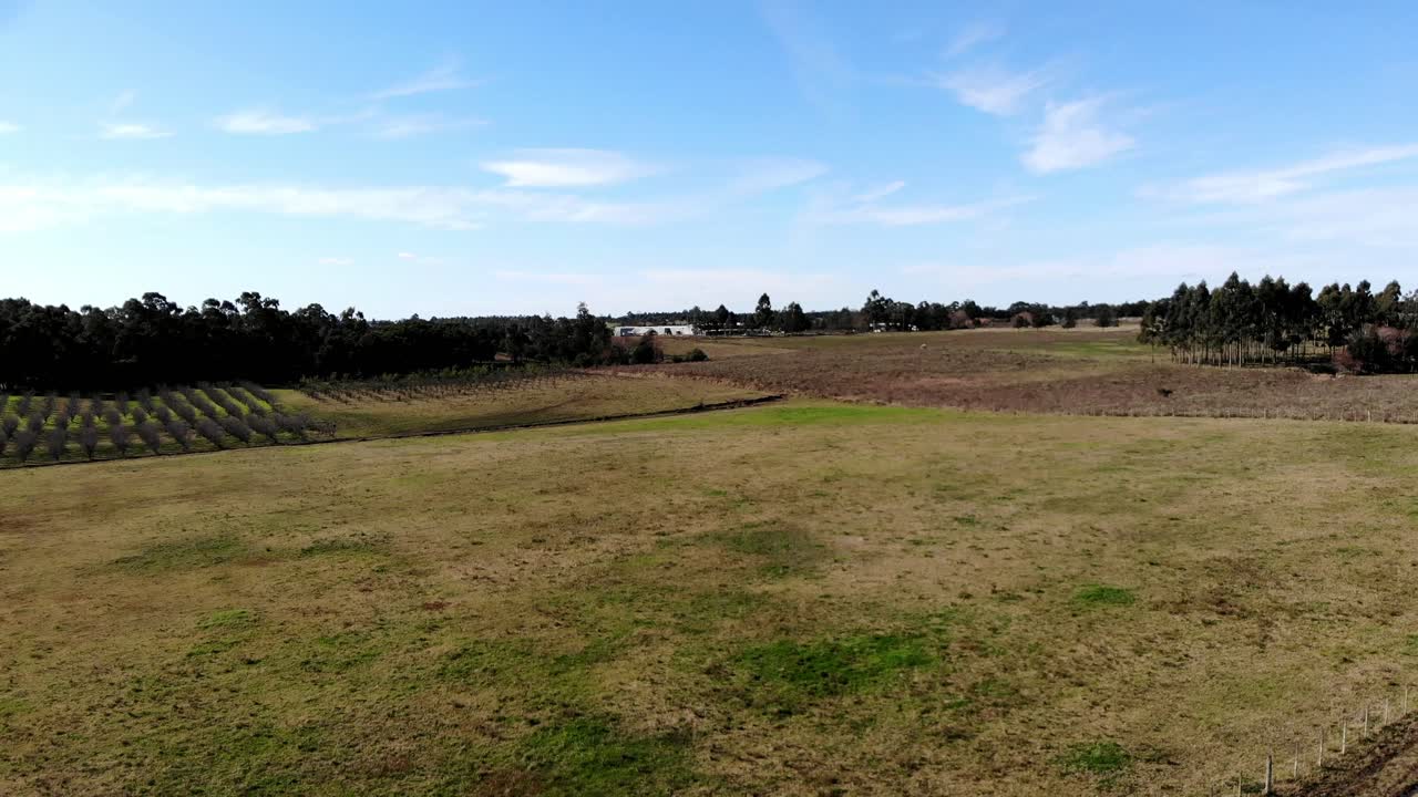 vista aerea del campo un dia soleado ubicado en canelones uruguay