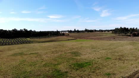 Vista-Aerea-Del-Campo-Un-Dia-Soleado-Ubicado-En-Canelones-Uruguay