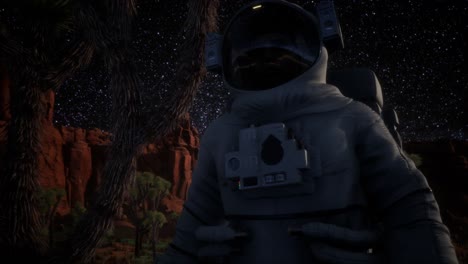 la formación de astronautas y estrellas de la vía láctea en el valle de la muerte