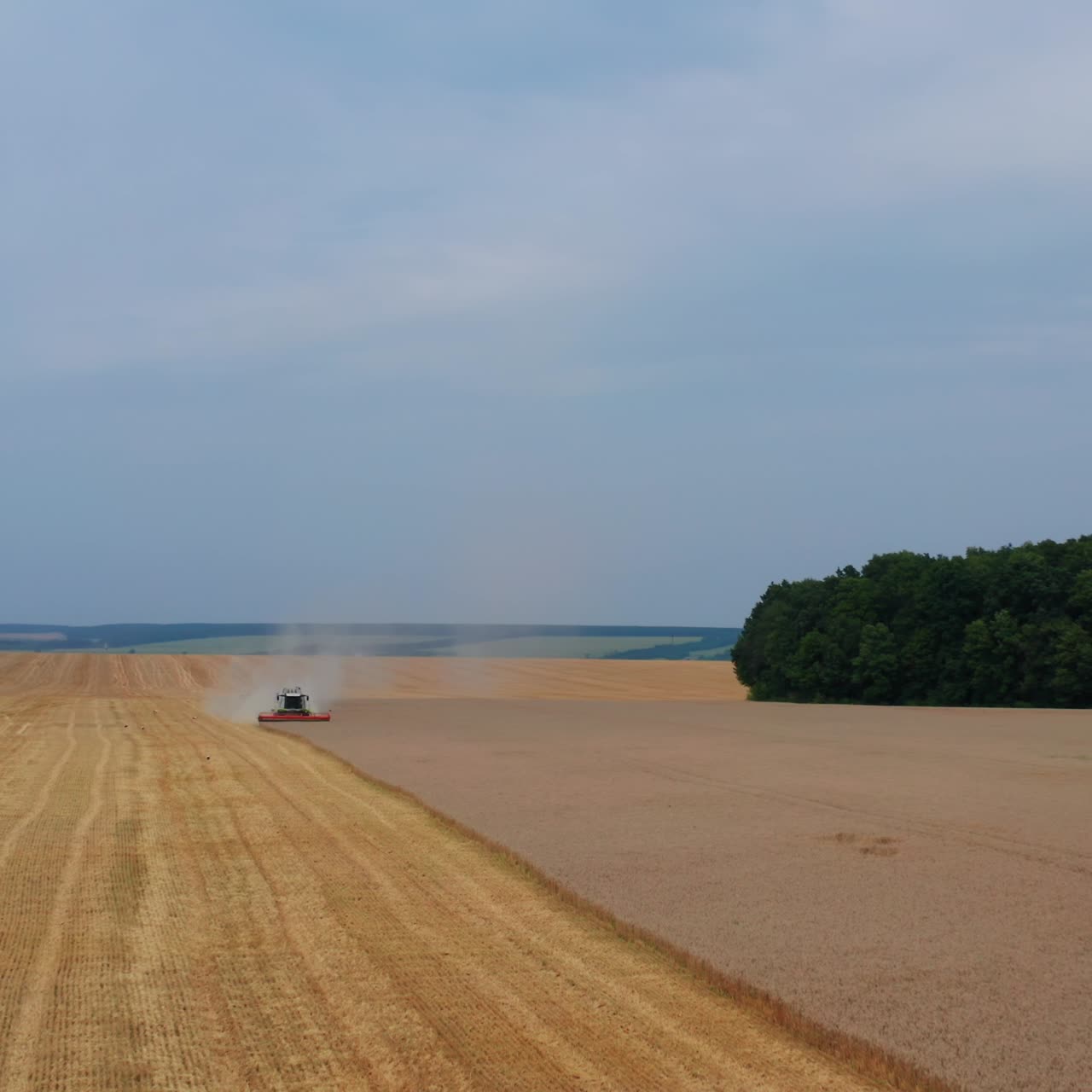 Agricultural machinery working in the large field. Vast farmland limited by woods on both sides. Blue skies and plantations at the backdrop