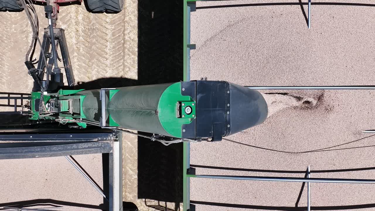 대규모 루핀 수확 작업 중에 작동하는 첨단 기계와 정밀도를 탐구합니다.