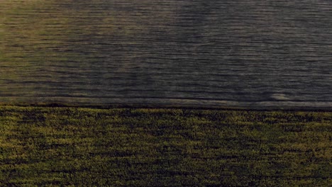 aerial view of farmlands