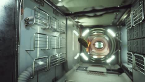 marinated-pickled-cucumber-floating-in-internation-space-station